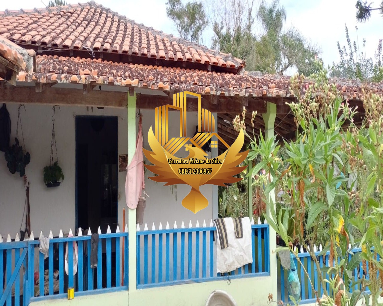Sítio à venda com 3 quartos, 326700m² - Foto 2