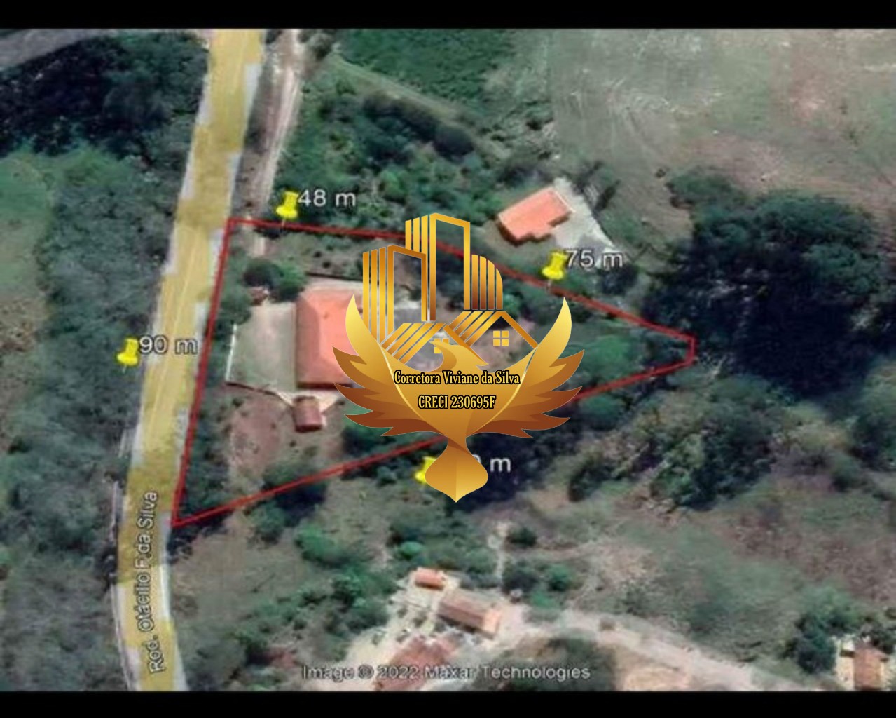 Chácara à venda com 4 quartos, 6500m² - Foto 17