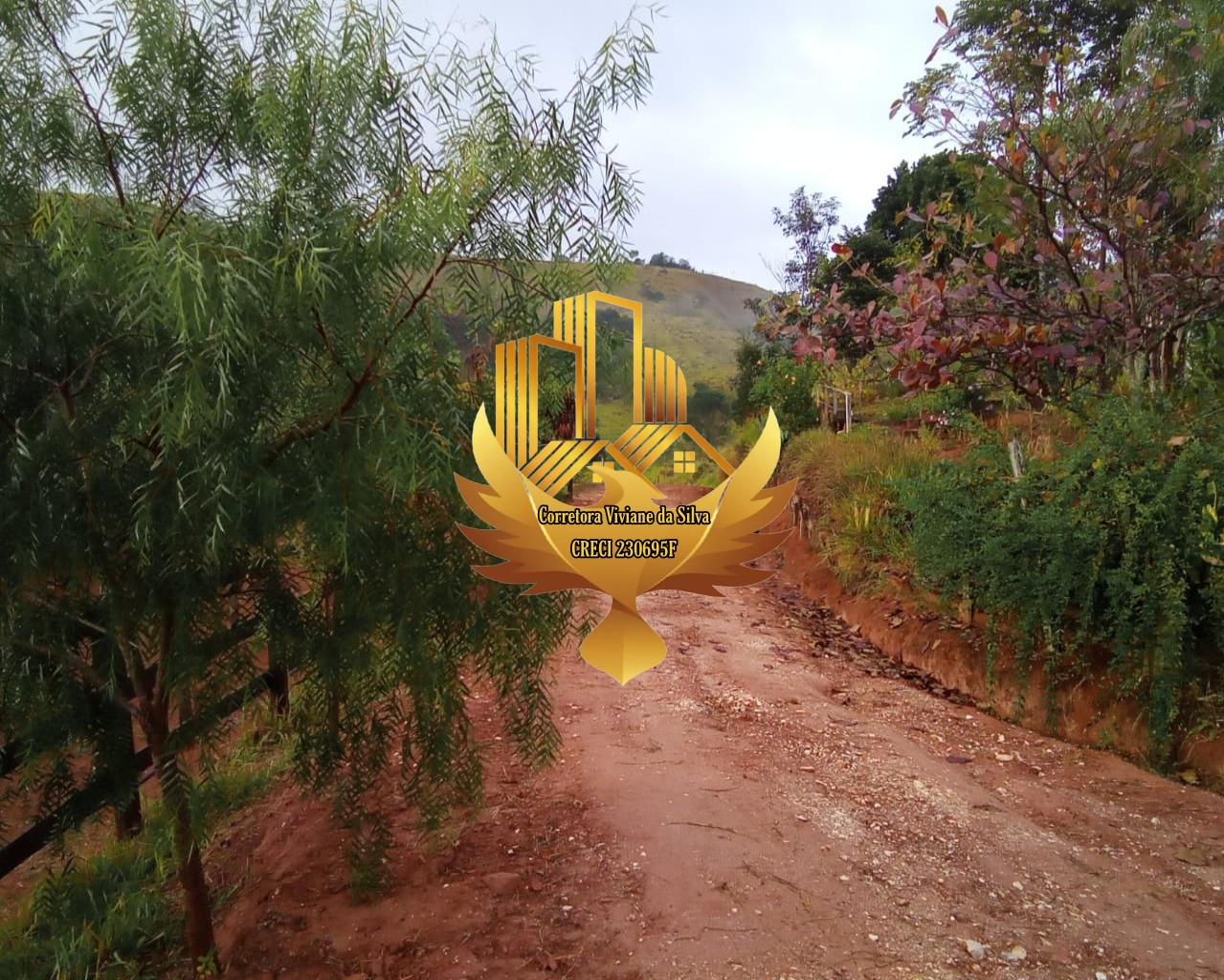 Sítio, 3 quartos, 8 hectares - Foto 26