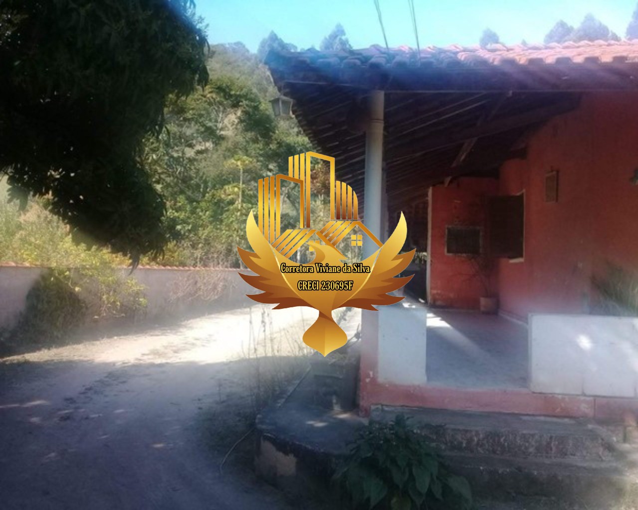 Chácara à venda com 4 quartos, 6500m² - Foto 9