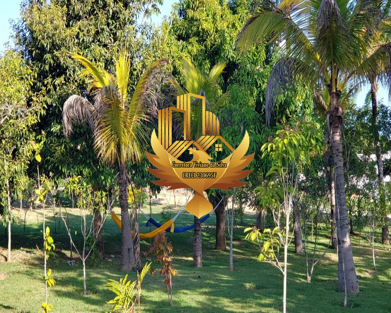 Terreno, 400 m² - Foto 5