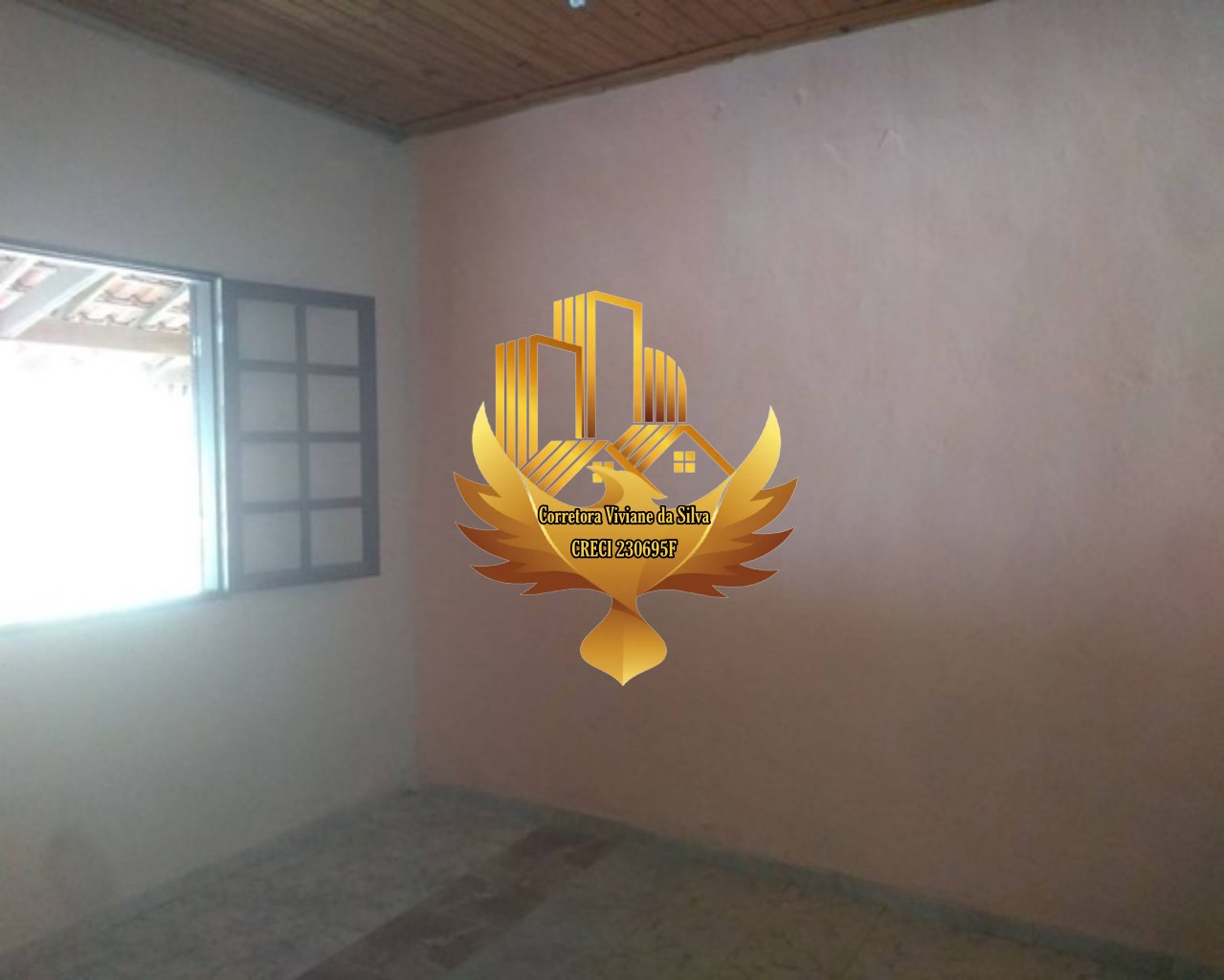 Chácara à venda com 4 quartos, 6500m² - Foto 4