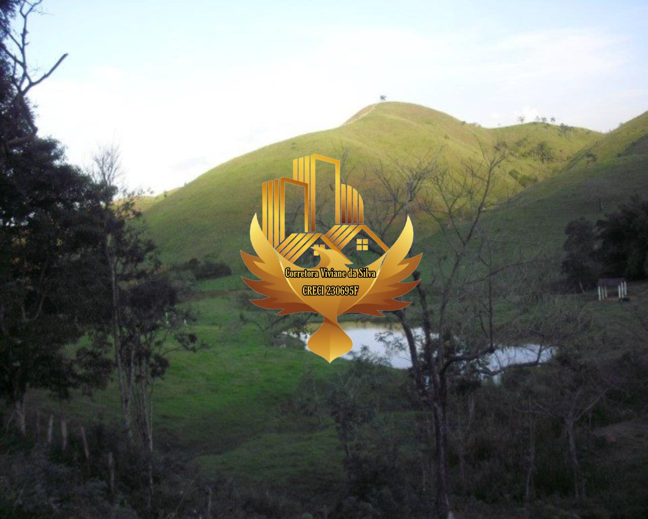 Fazenda à venda com 3 quartos, 1210000m² - Foto 9