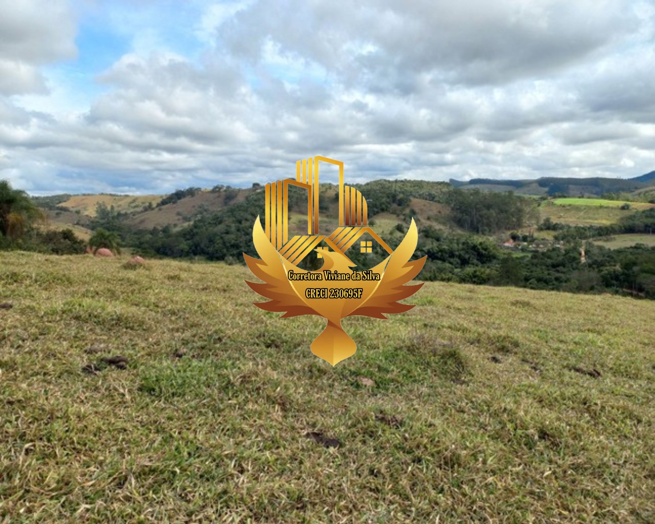 Sítio à venda com 3 quartos, 205700m² - Foto 10