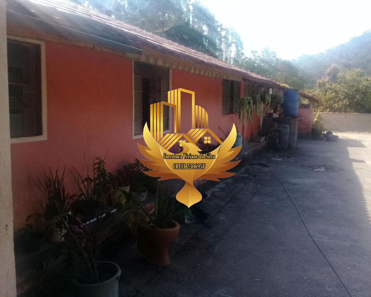 Chácara à venda com 4 quartos, 6500m² - Foto 10