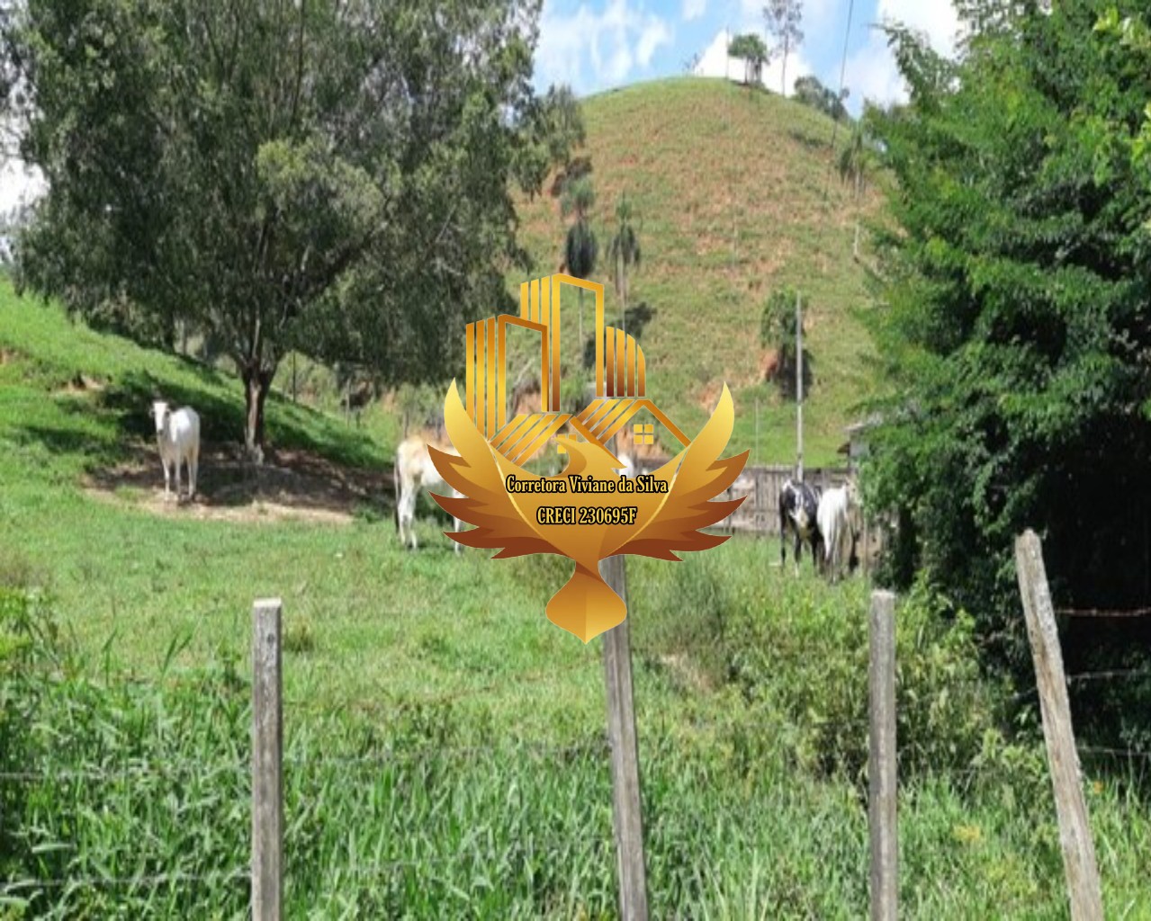 Fazenda à venda com 3 quartos, 1210000m² - Foto 4
