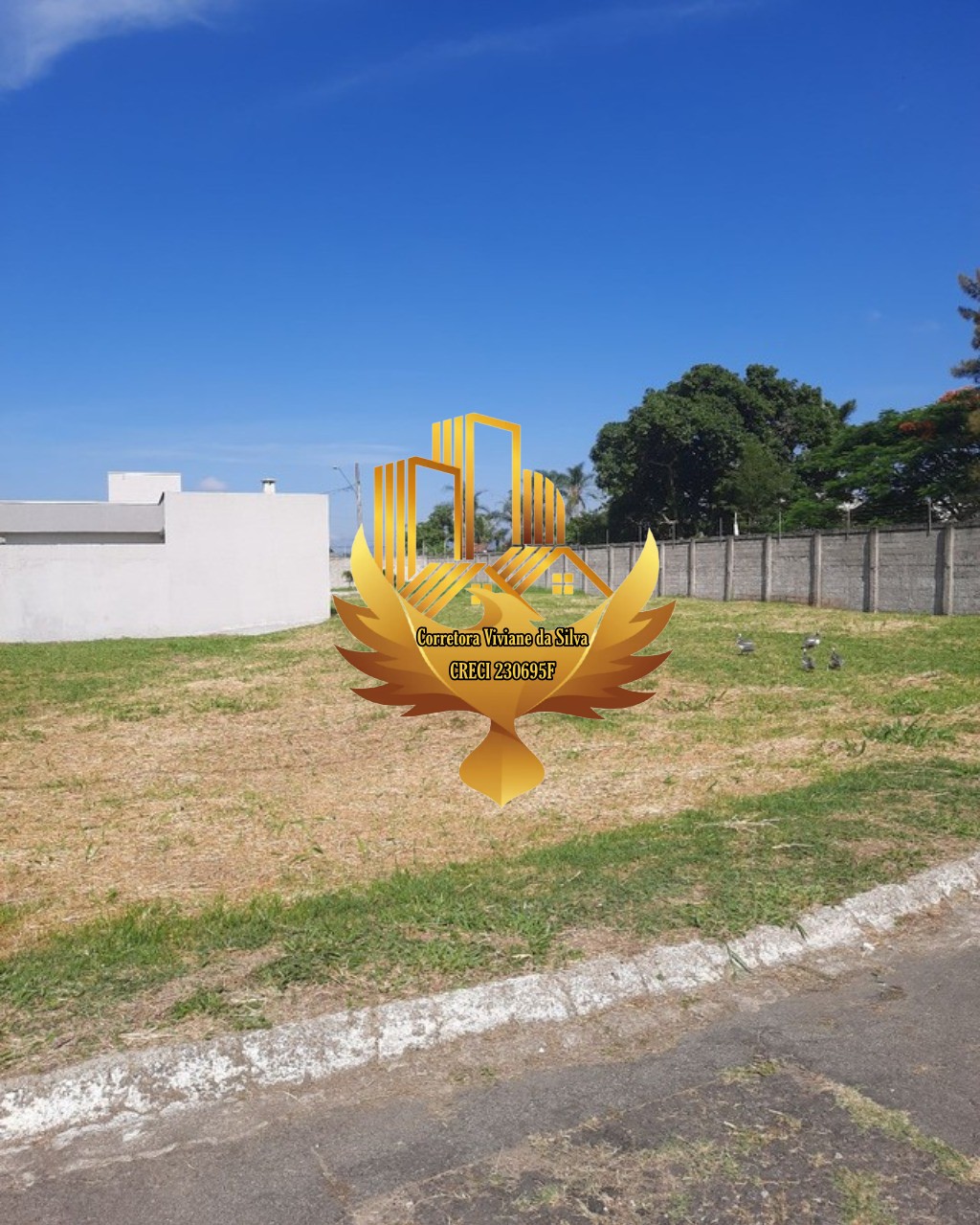 Terreno à venda, 380m² - Foto 3