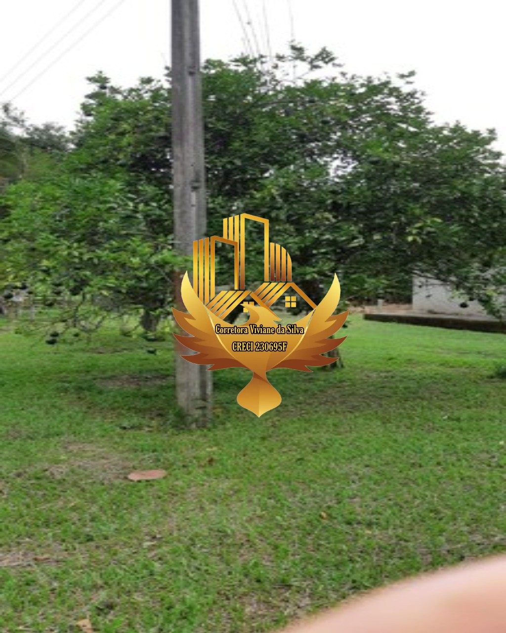 Fazenda à venda com 3 quartos, 1210000m² - Foto 12