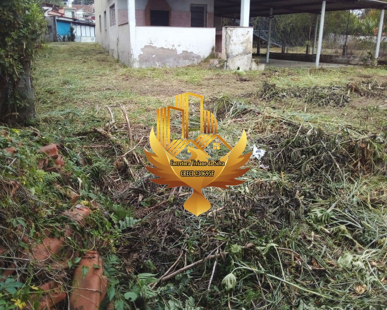 Terreno, 4842 m² - Foto 5