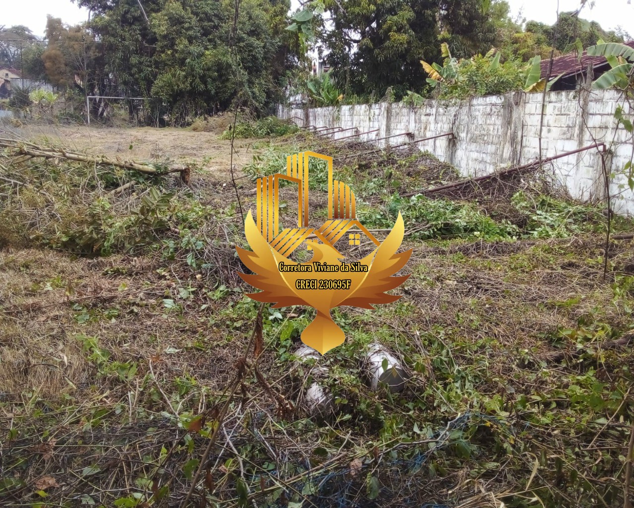 Terreno, 4842 m² - Foto 6