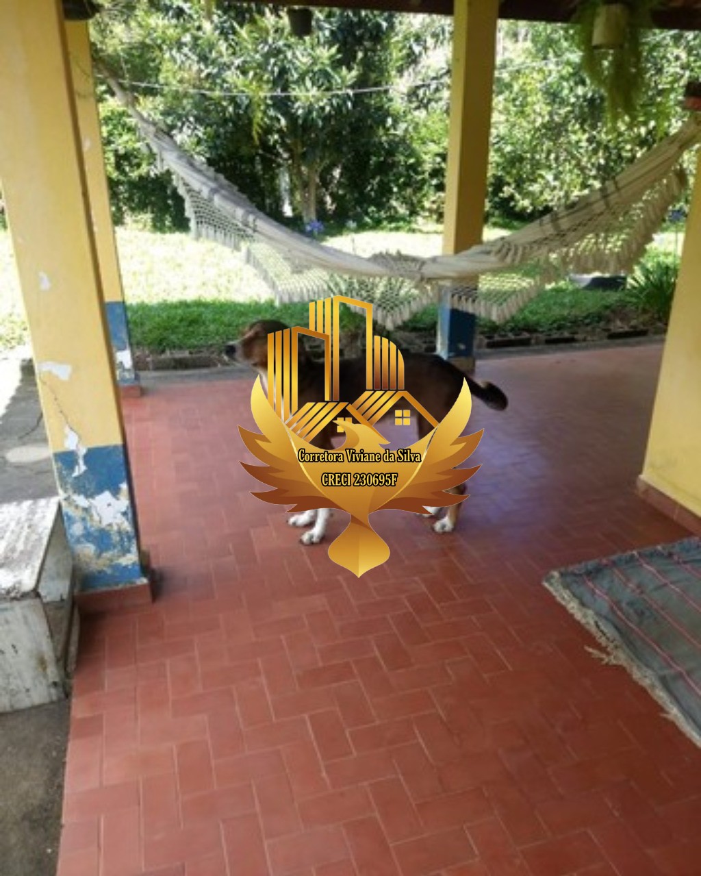 Sítio à venda com 4 quartos - Foto 16