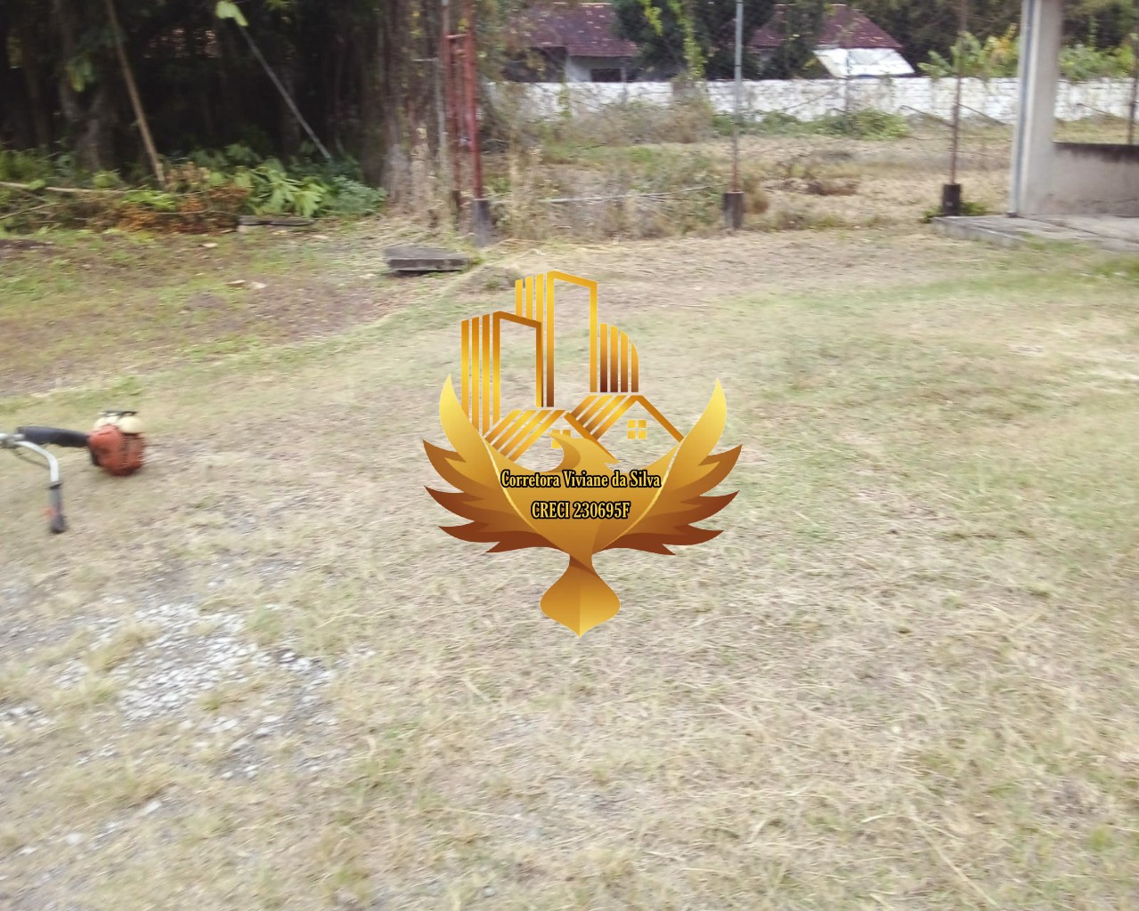 Terreno, 4842 m² - Foto 4