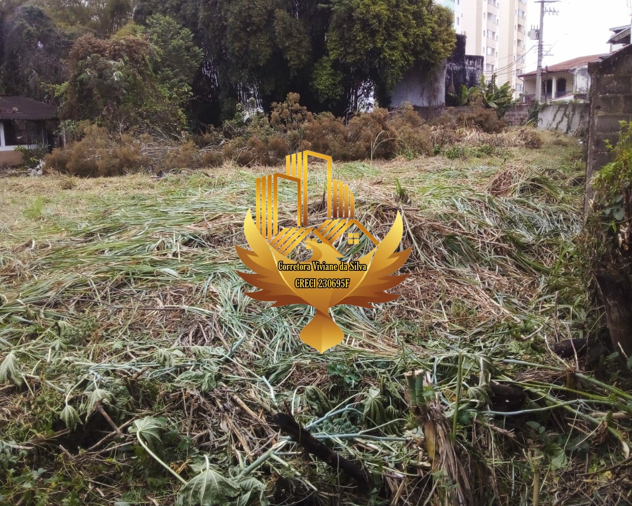 Terreno, 4842 m² - Foto 8