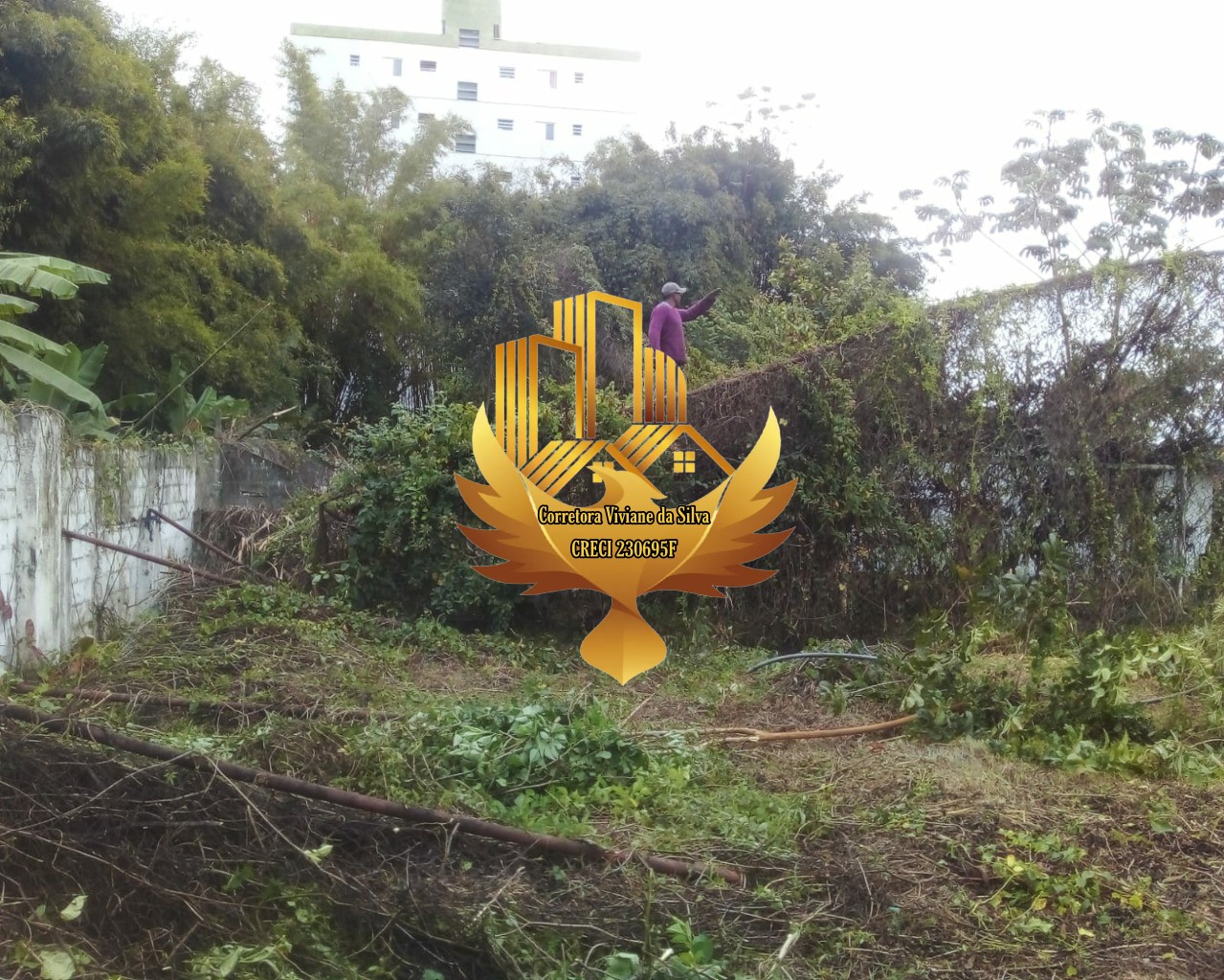 Terreno, 4842 m² - Foto 3