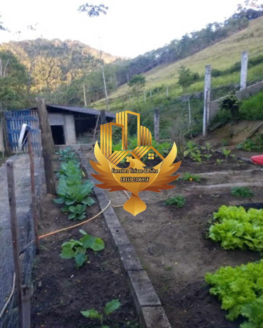 Sítio à venda com 4 quartos - Foto 18