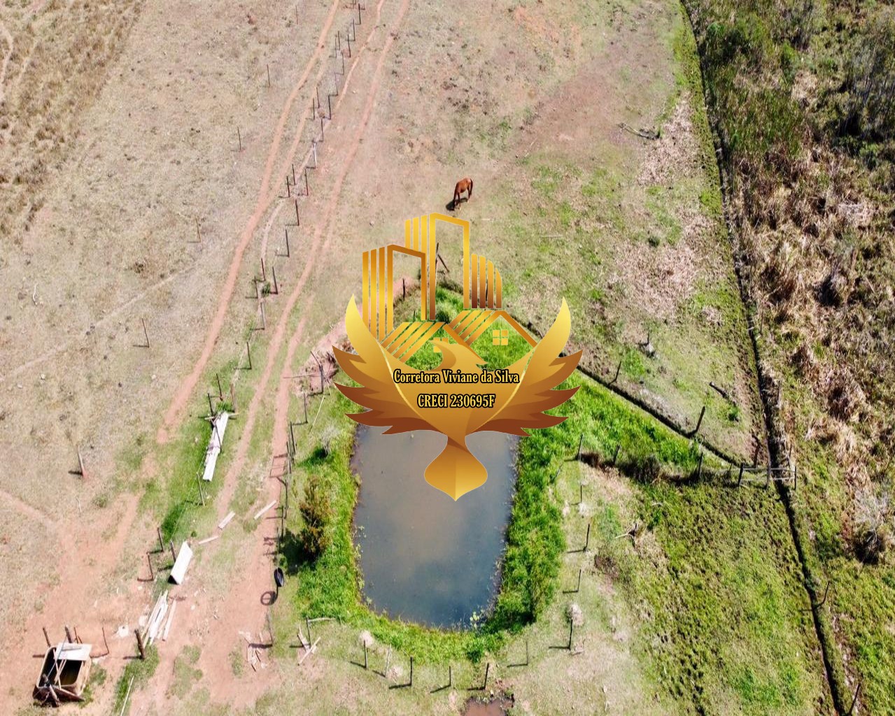 Sítio à venda com 3 quartos, 144000m² - Foto 16