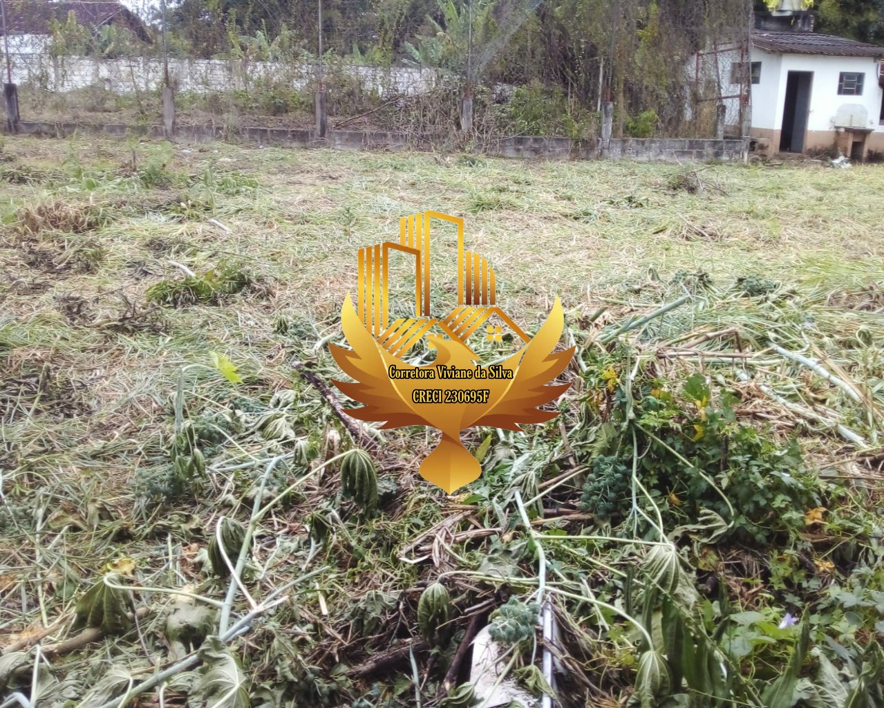 Terreno, 4842 m² - Foto 2