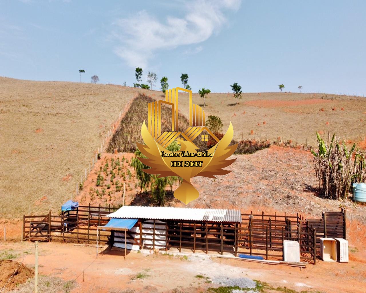 Sítio à venda com 3 quartos, 144000m² - Foto 15