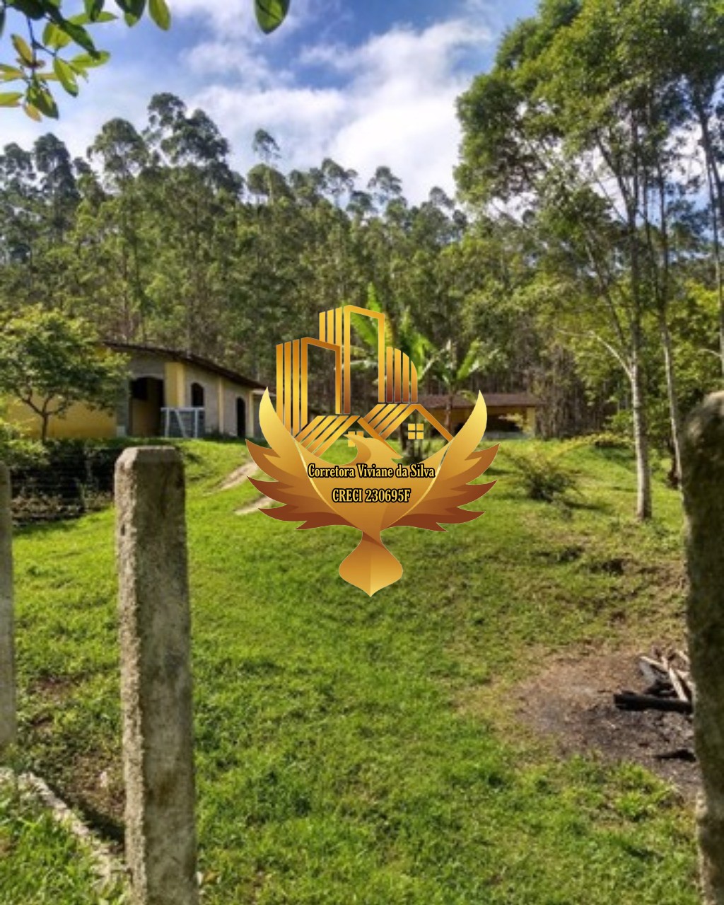 Sítio à venda com 4 quartos - Foto 11