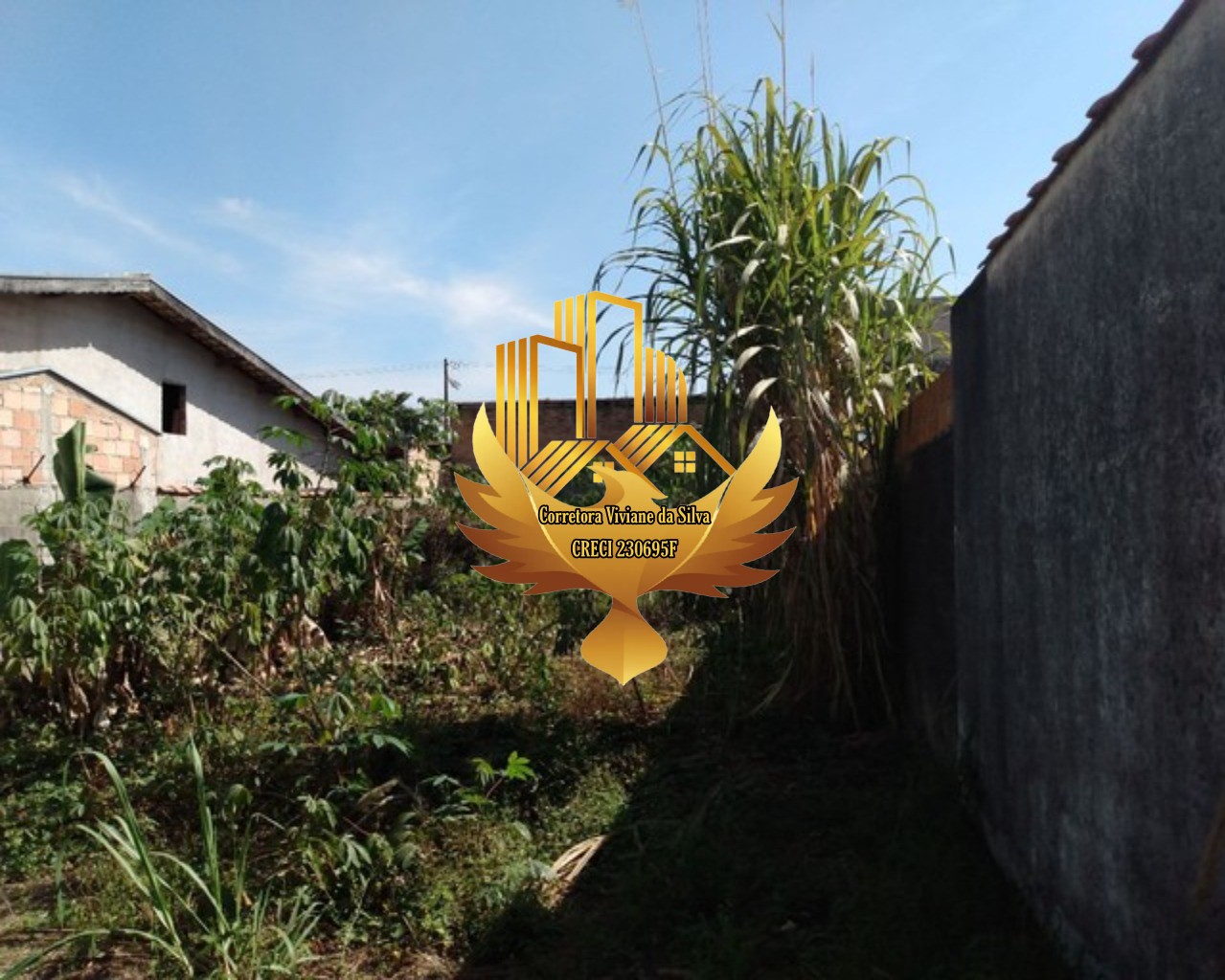 Terreno, 250 m² - Foto 4