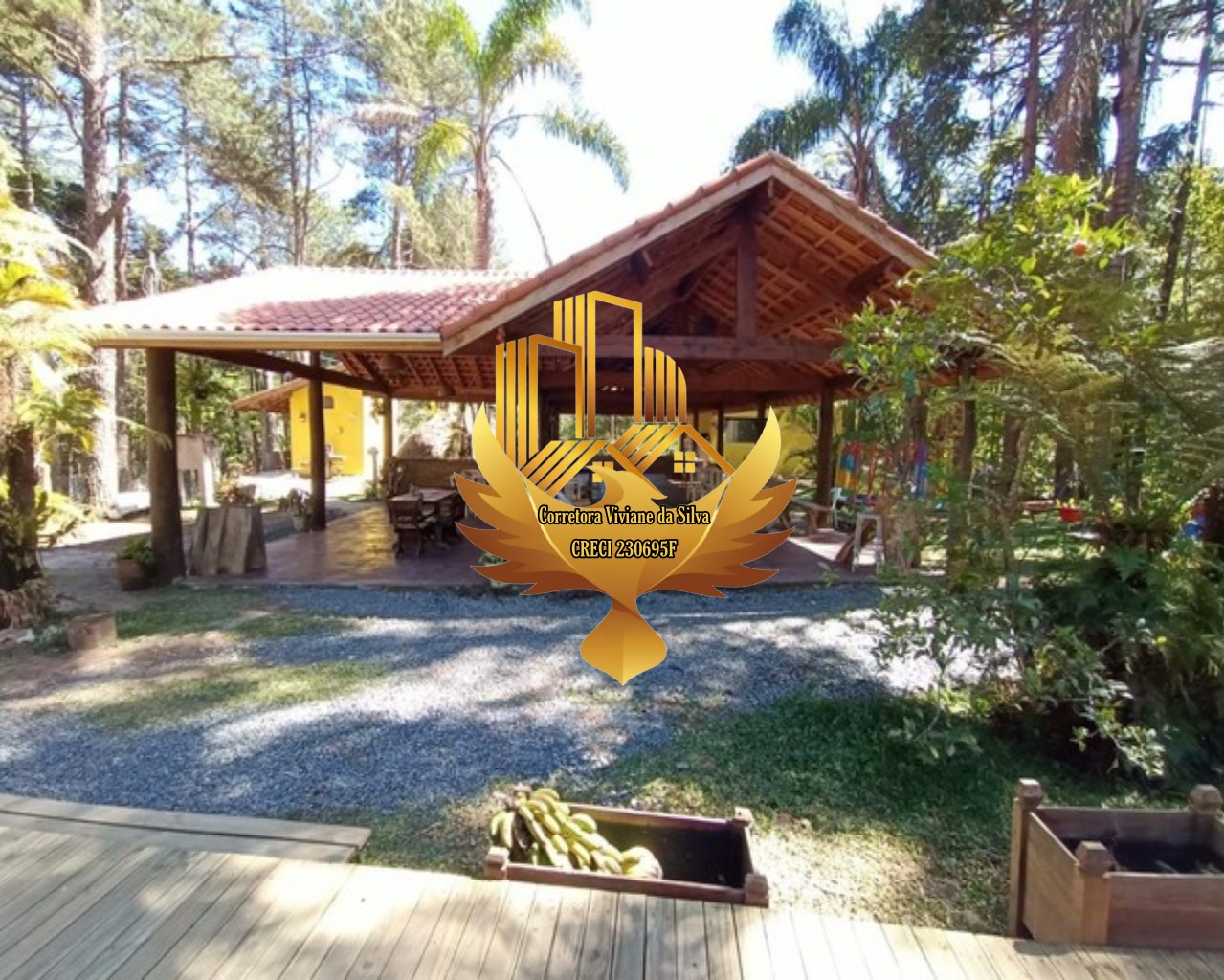 Sítio à venda, 60000m² - Foto 2
