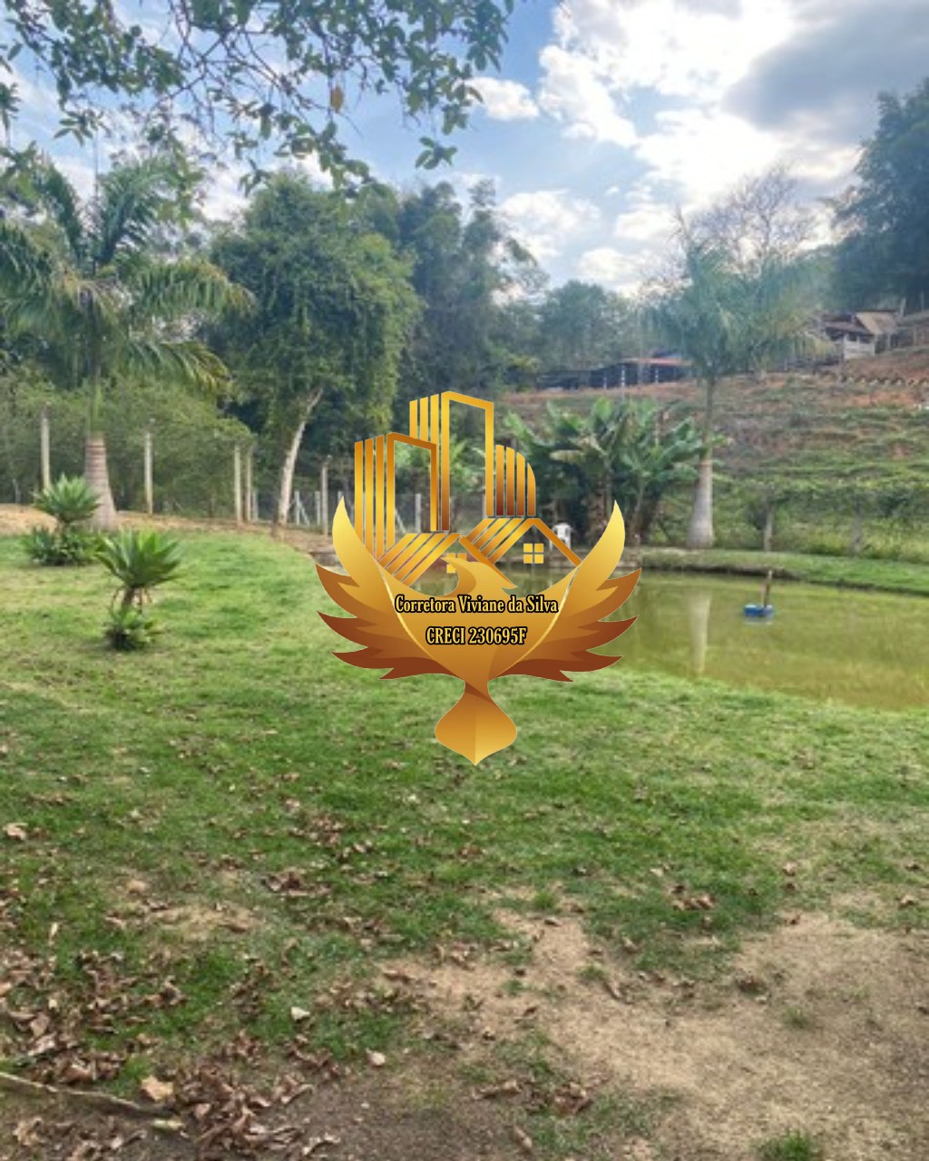 Chácara à venda com 3 quartos, 5200m² - Foto 3
