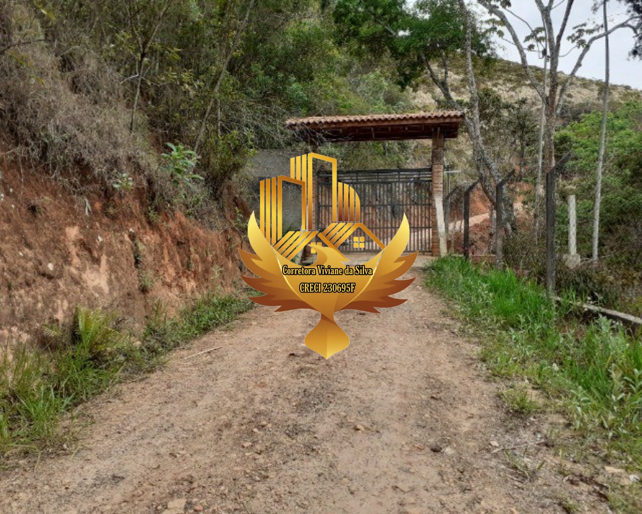 Sítio à venda com 2 quartos, 72600m² - Foto 18