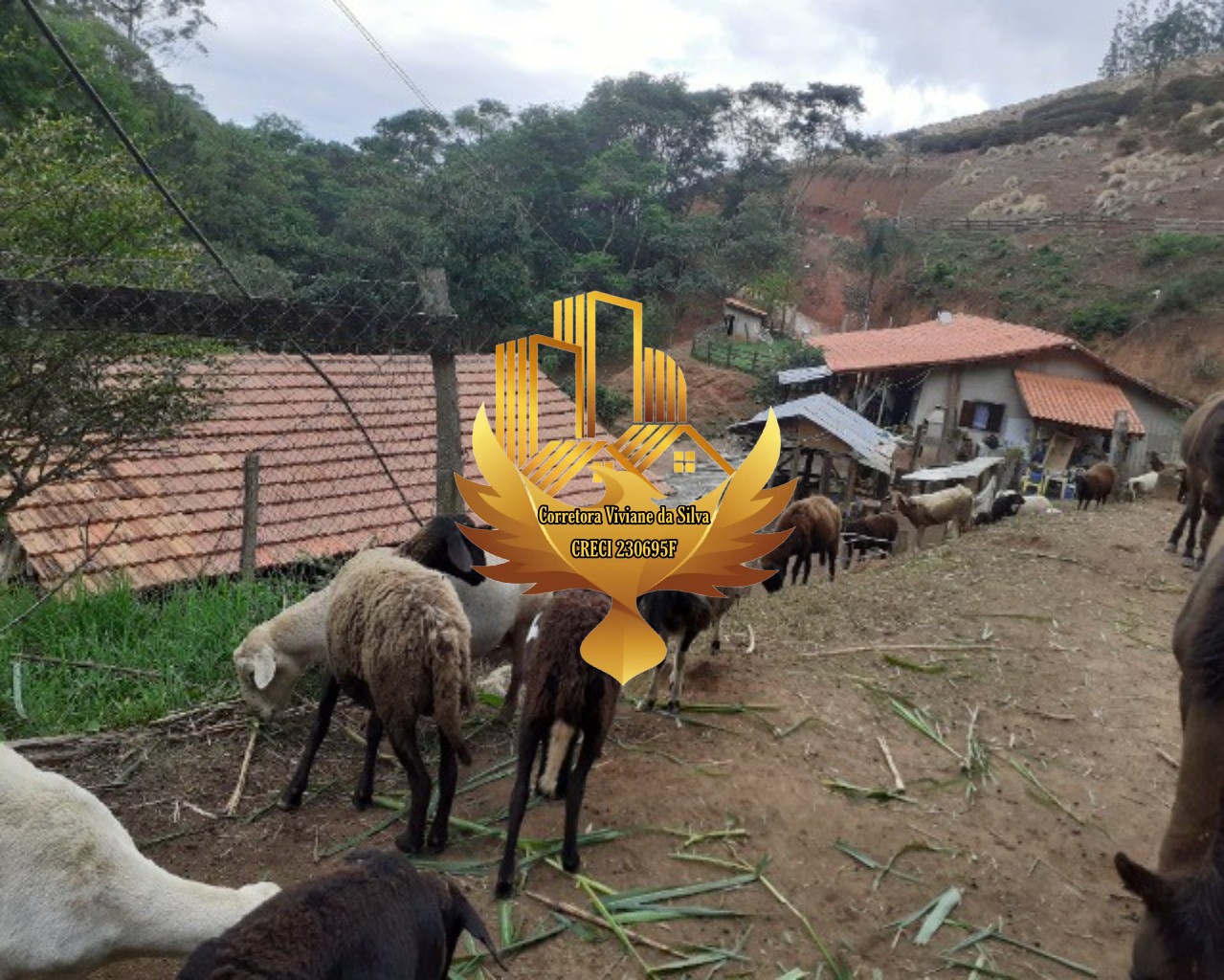 Sítio à venda com 2 quartos, 72600m² - Foto 5