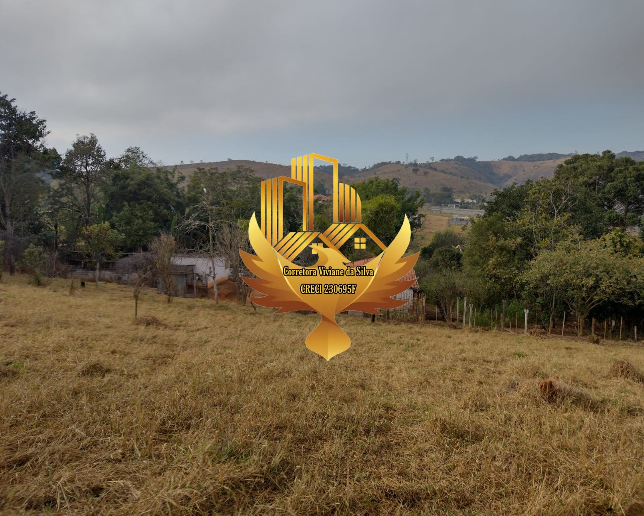 Terreno à venda, 20540m² - Foto 5
