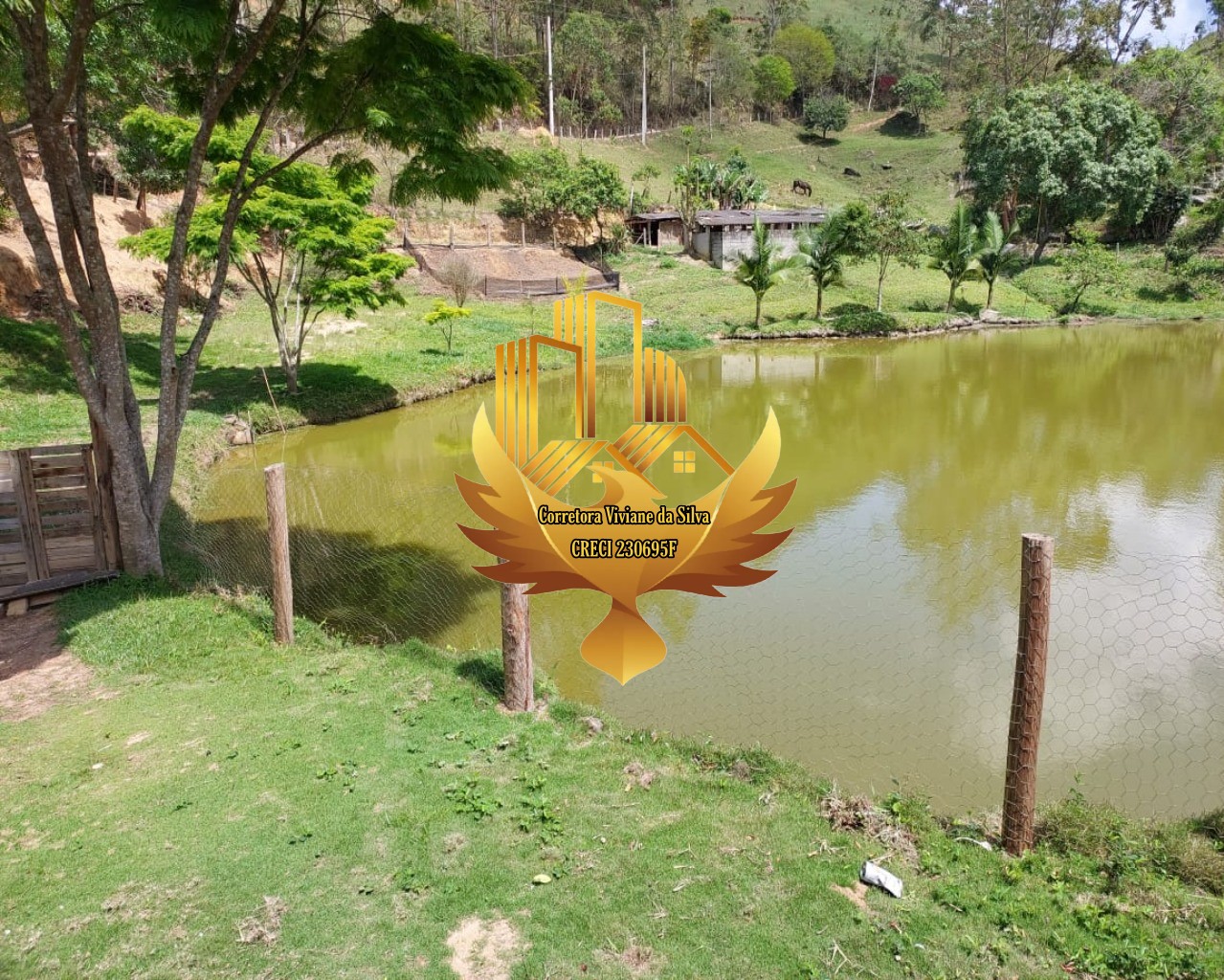 Sítio à venda com 3 quartos, 48400m² - Foto 10