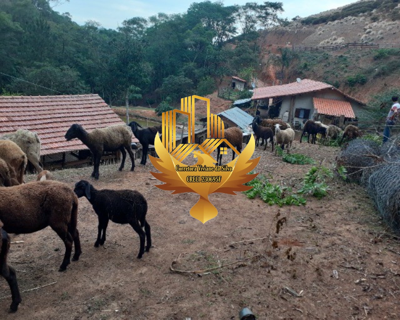 Sítio à venda com 2 quartos, 72600m² - Foto 9
