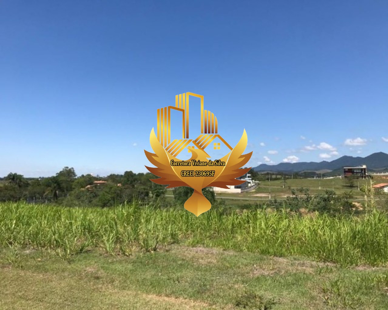 Terreno, 1000 m² - Foto 4