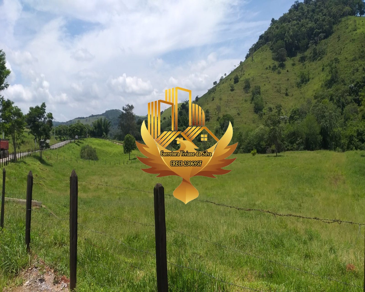 Terreno, 5 hectares - Foto 9