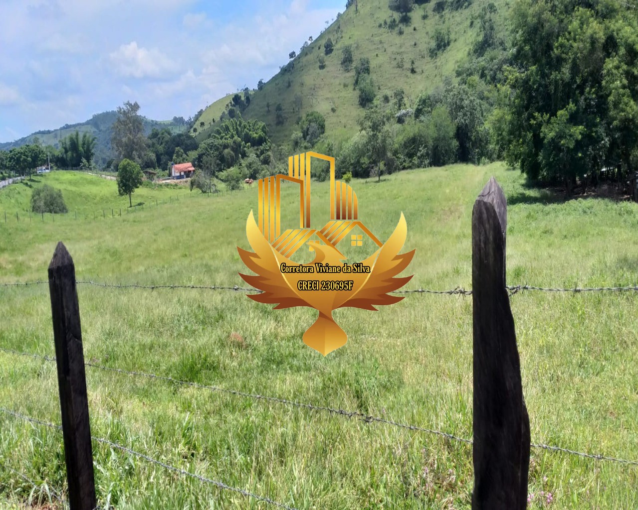 Terreno, 5 hectares - Foto 3