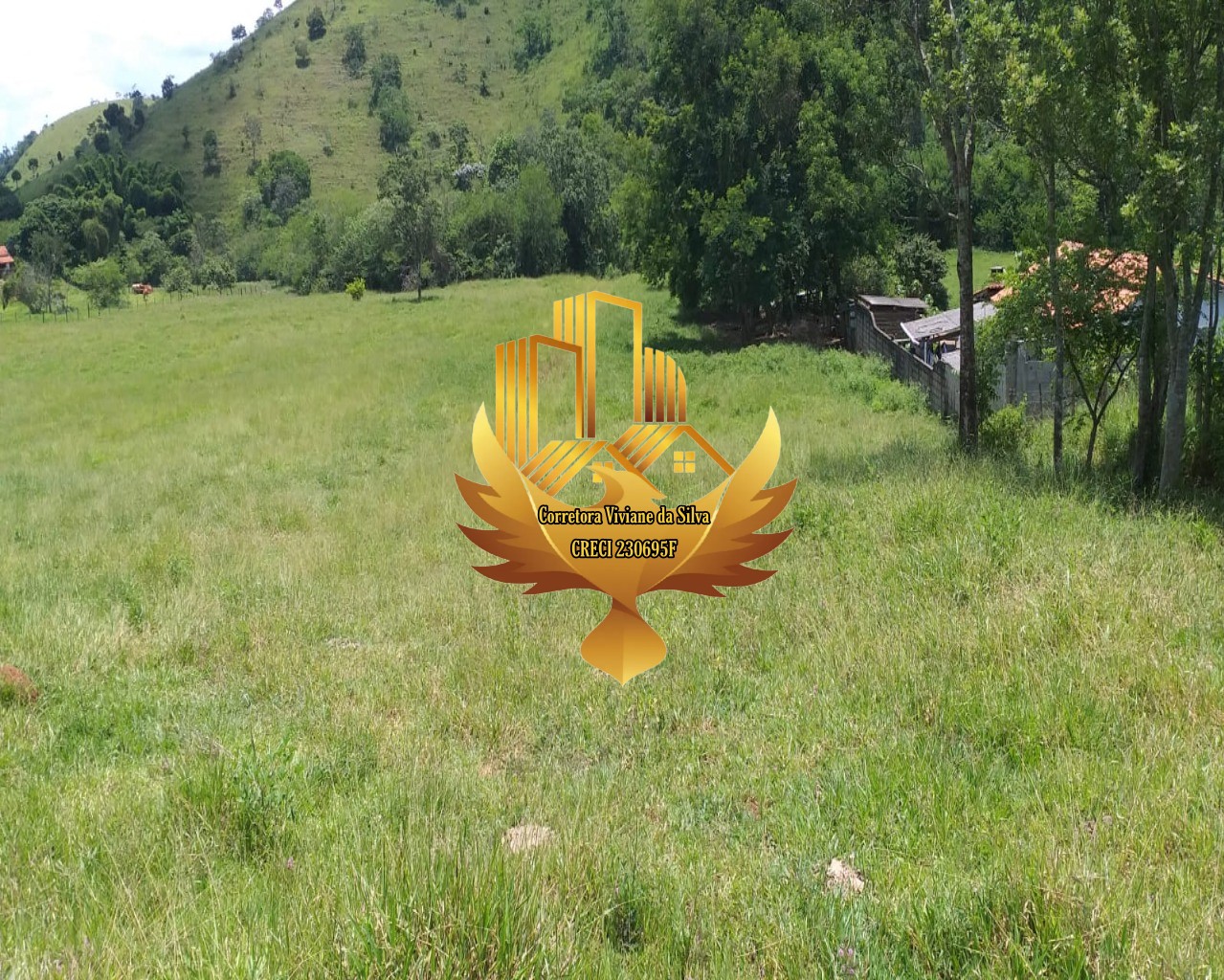 Terreno, 5 hectares - Foto 2