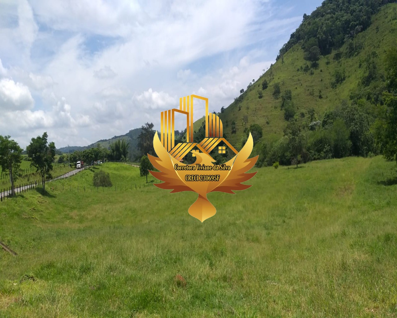 Terreno, 5 hectares - Foto 8