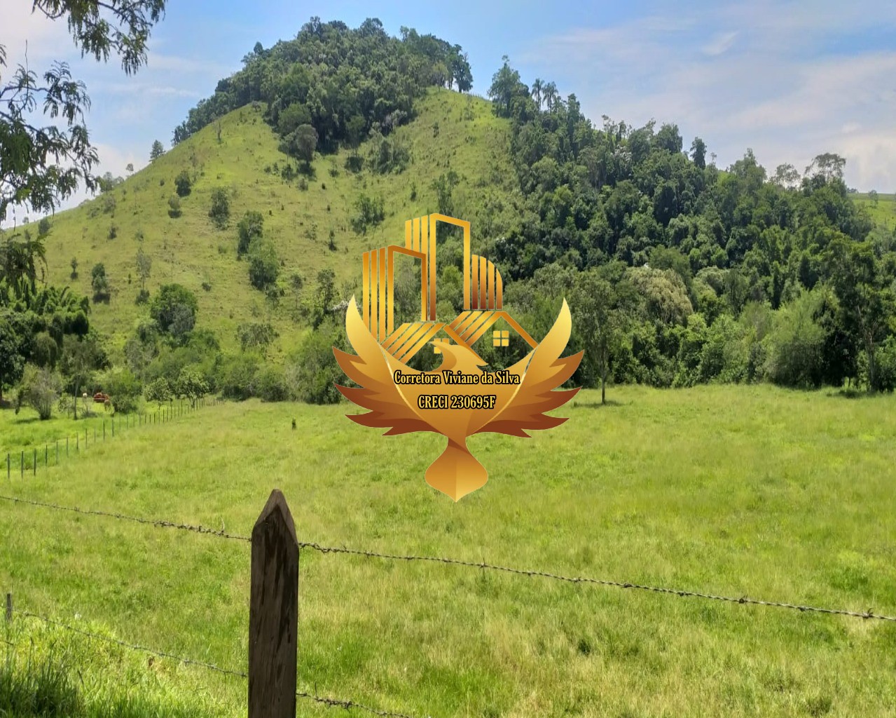 Terreno, 5 hectares - Foto 6