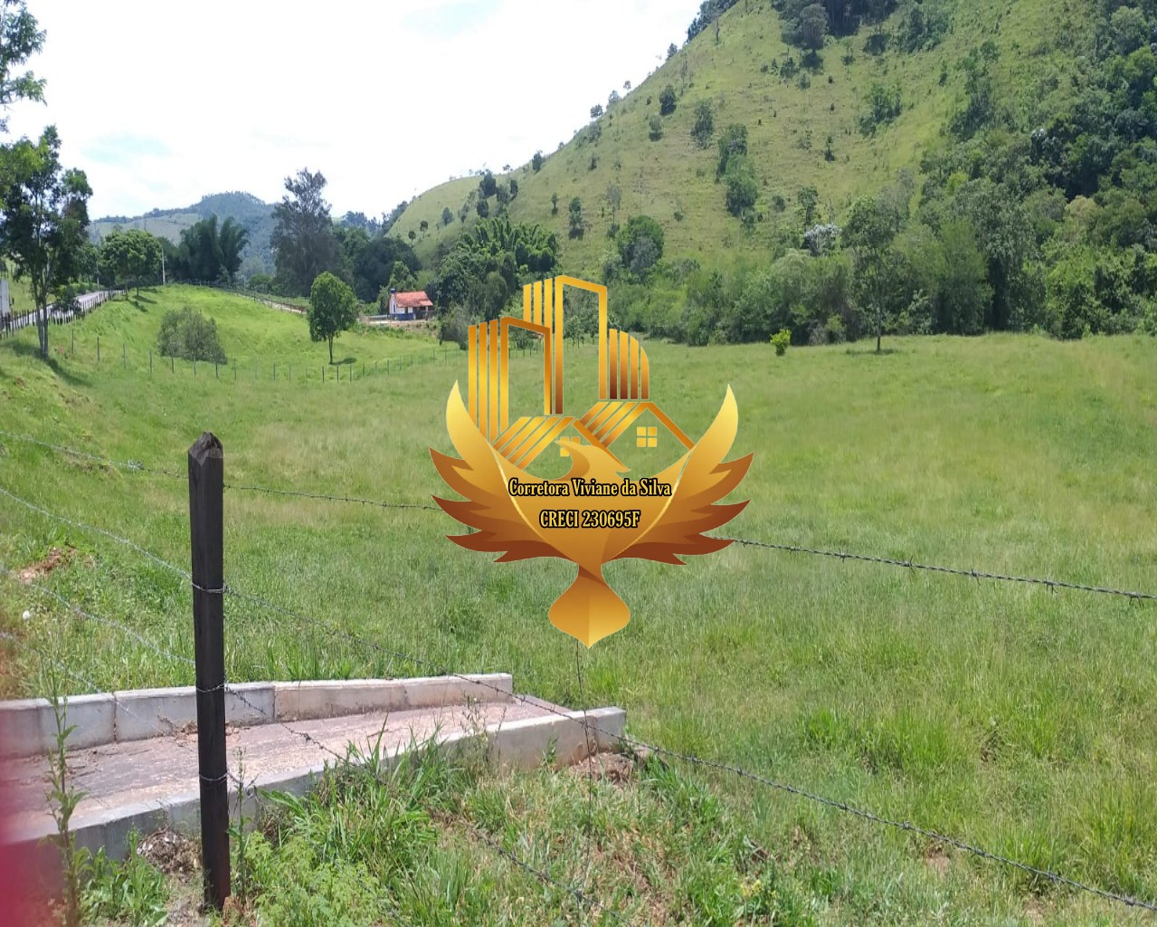 Terreno, 5 hectares - Foto 7