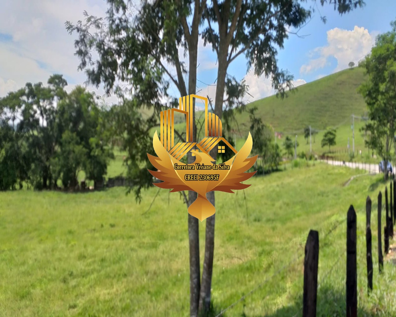 Terreno, 5 hectares - Foto 4