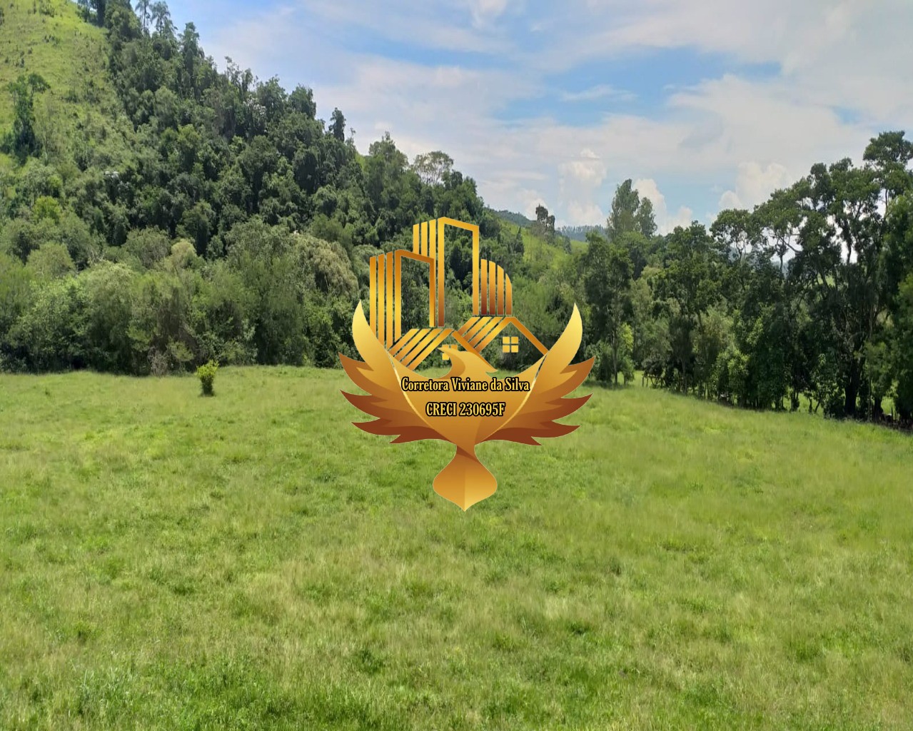 Terreno, 5 hectares - Foto 5