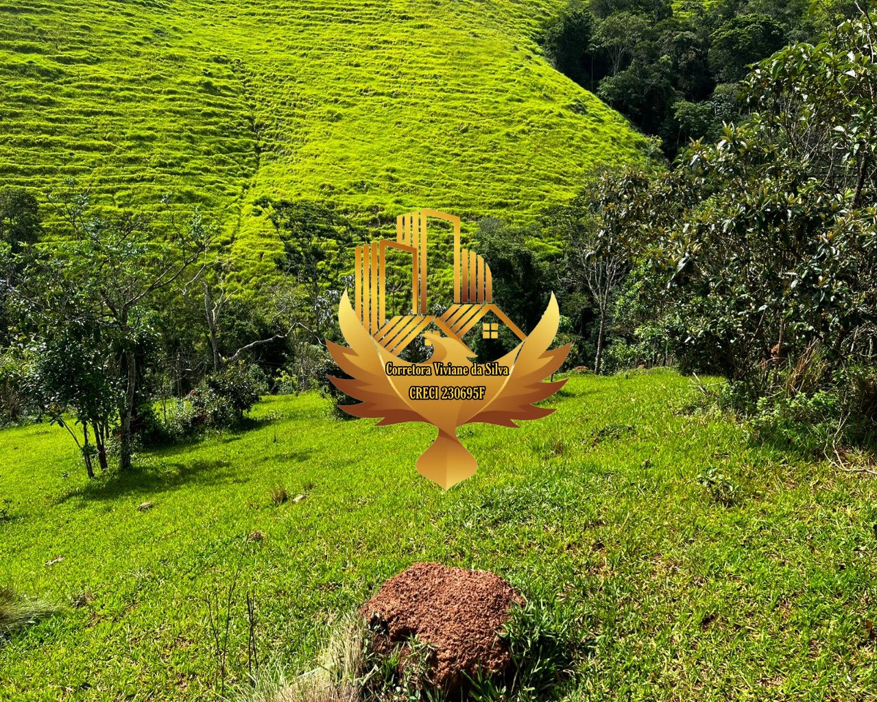 Terreno, 2 hectares - Foto 17