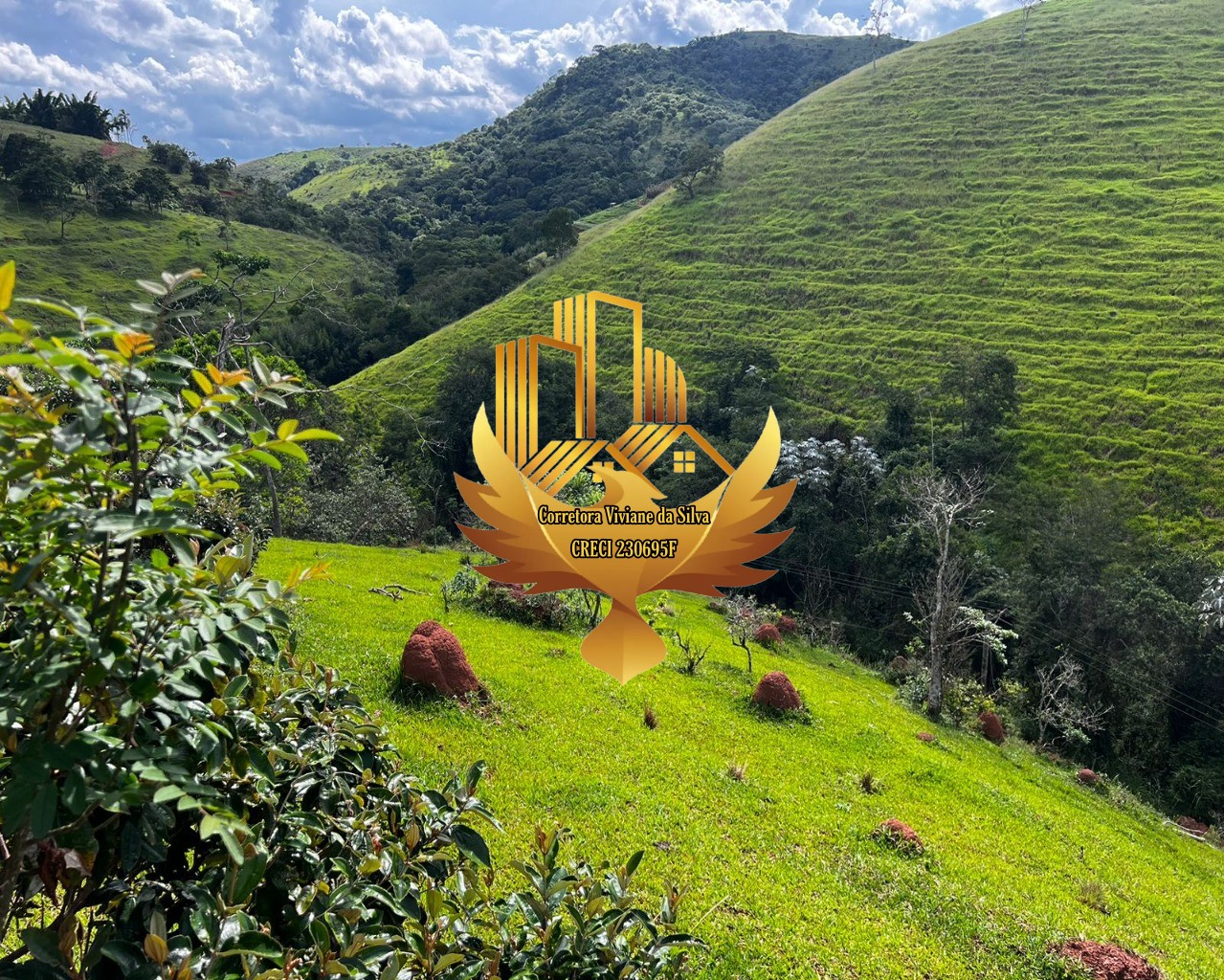 Terreno, 2 hectares - Foto 4