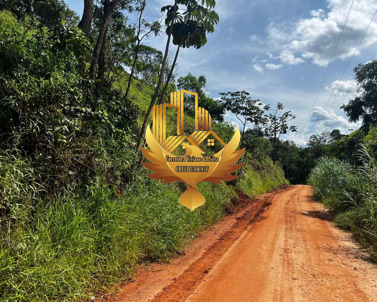 Terreno, 2 hectares - Foto 10