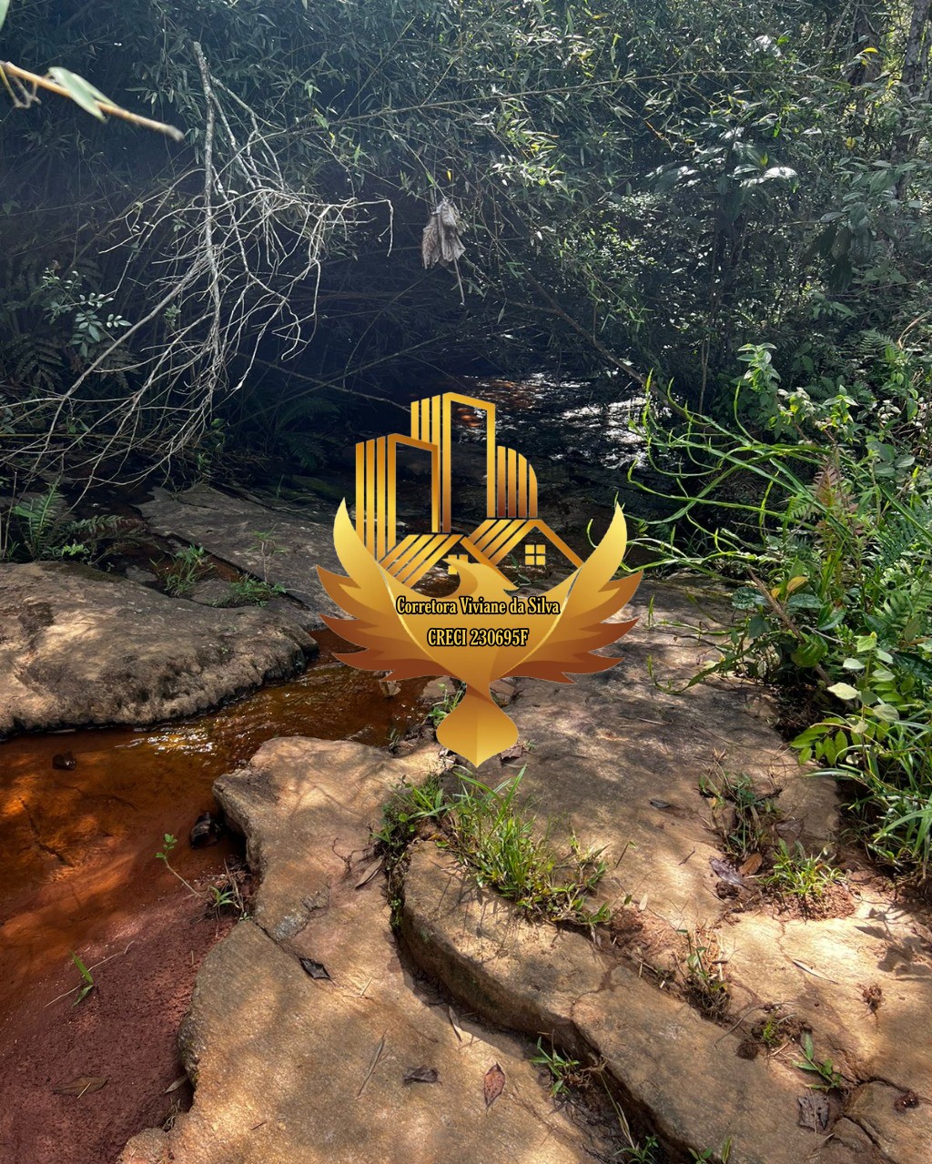 Terreno, 2 hectares - Foto 6