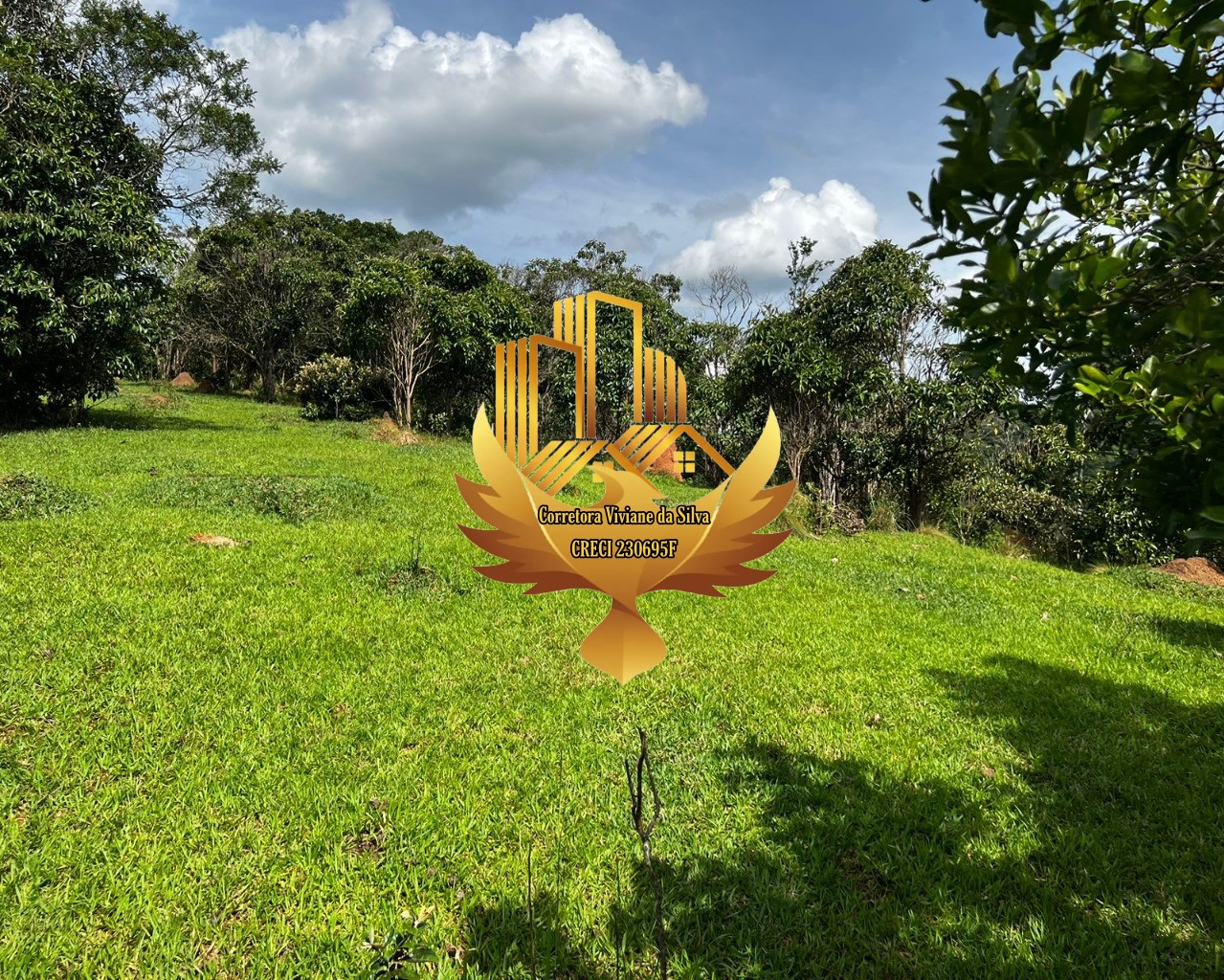 Terreno, 2 hectares - Foto 16