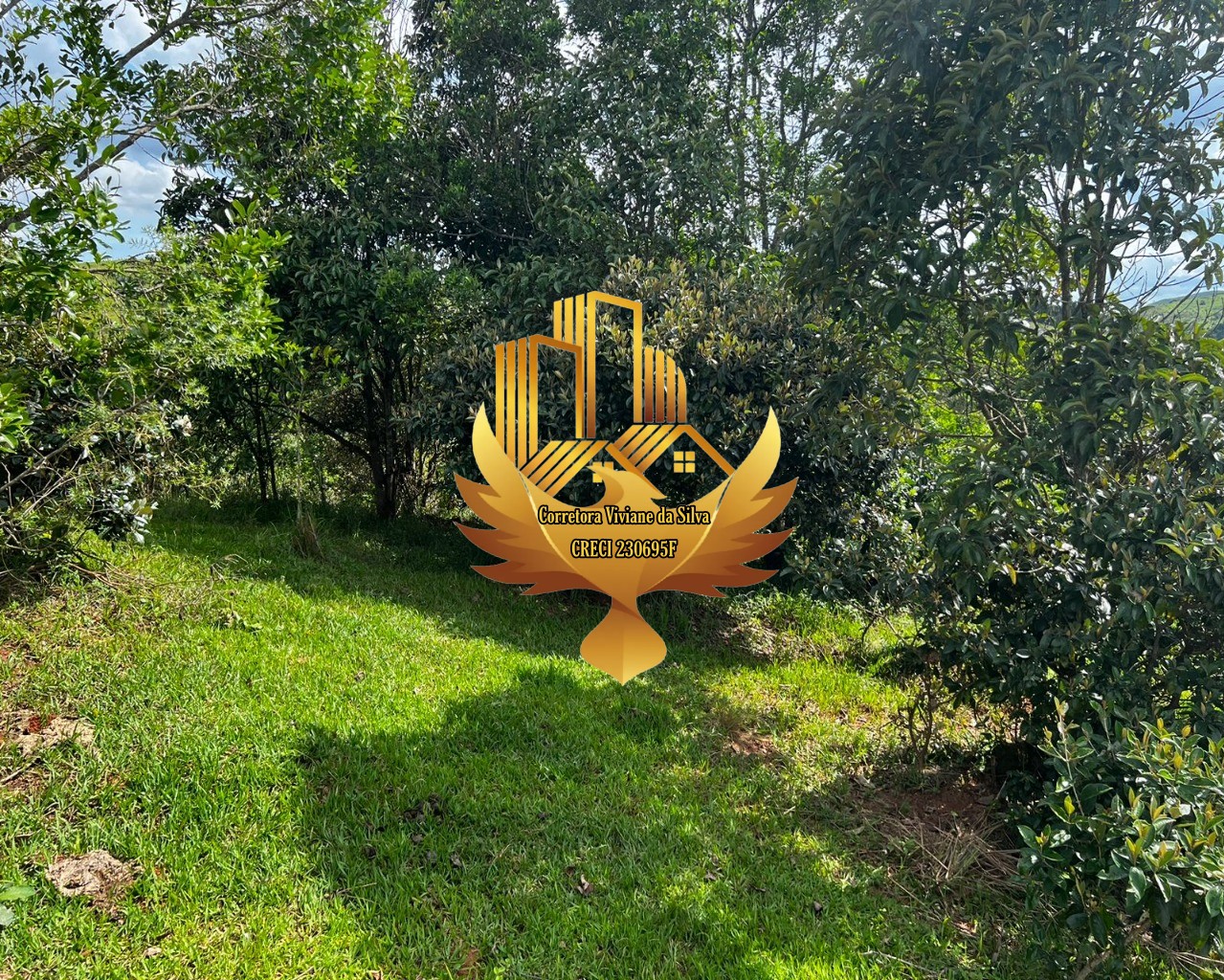 Terreno, 2 hectares - Foto 11