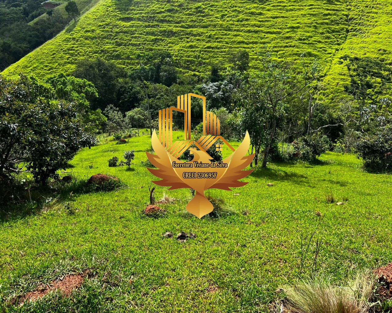 Terreno, 2 hectares - Foto 12