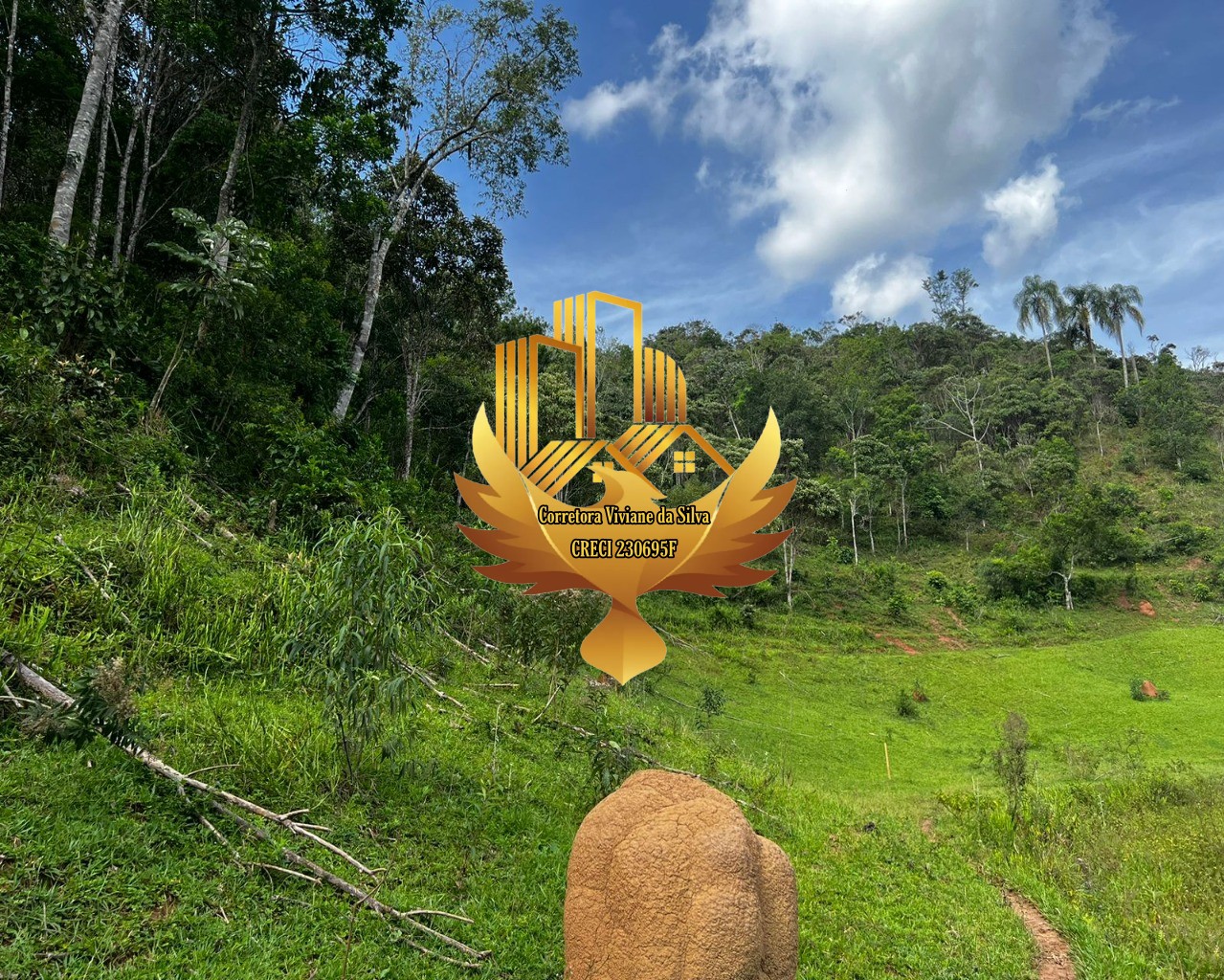 Terreno, 2 hectares - Foto 13