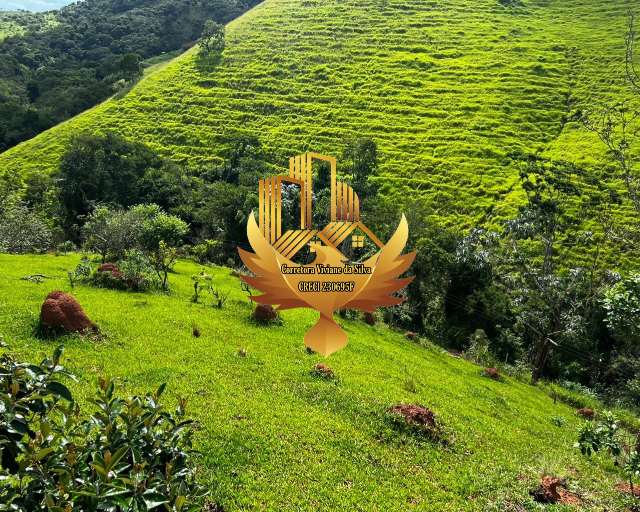 Terreno, 2 hectares - Foto 5