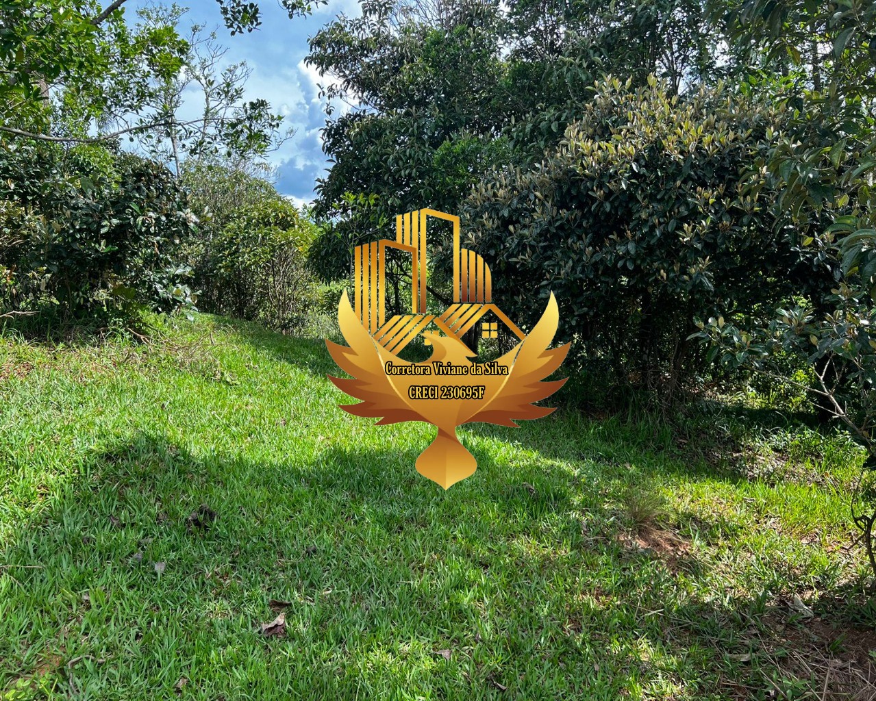 Terreno, 2 hectares - Foto 15